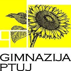 www.gimptuj.si